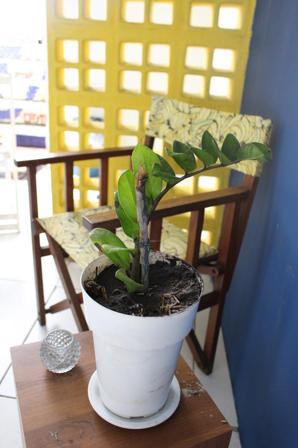 Red River Hostel Salvador Ngoại thất bức ảnh